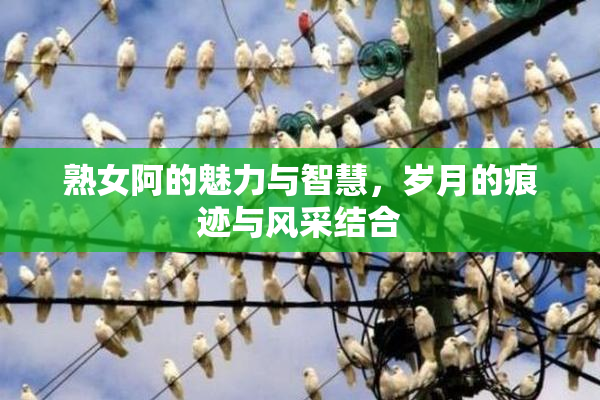 熟女阿的魅力与智慧，岁月的痕迹与风采结合