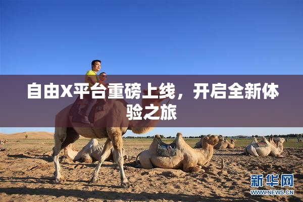 自由X平台重磅上线，开启全新体验之旅