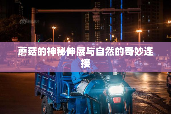 蘑菇的神秘伸展与自然的奇妙连接