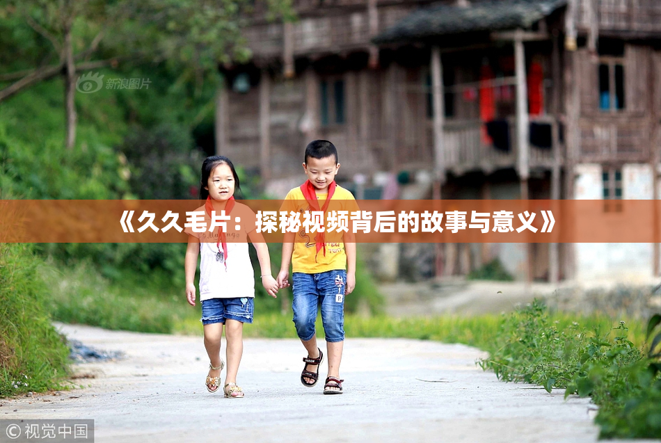 《久久毛片：探秘视频背后的故事与意义》