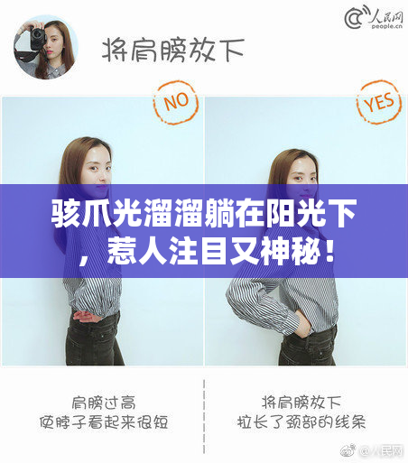 骇爪光溜溜躺在阳光下，惹人注目又神秘！