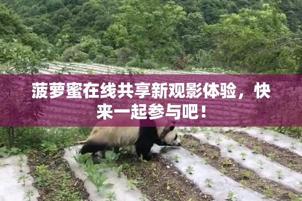 菠萝蜜在线共享新观影体验，快来一起参与吧！
