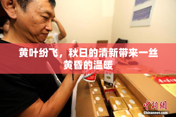 黄叶纷飞，秋日的清新带来一丝黄昏的温暖
