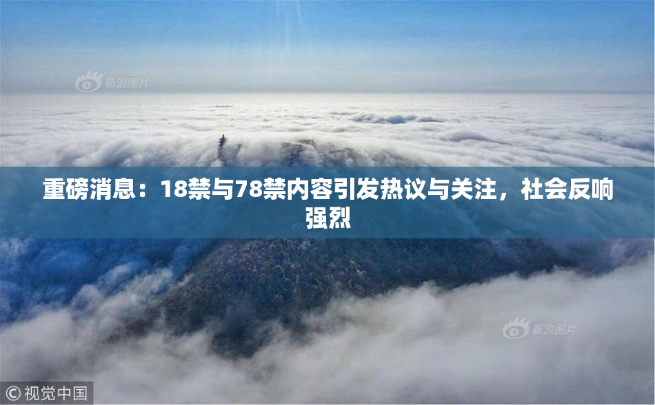重磅消息：18禁与78禁内容引发热议与关注，社会反响强烈