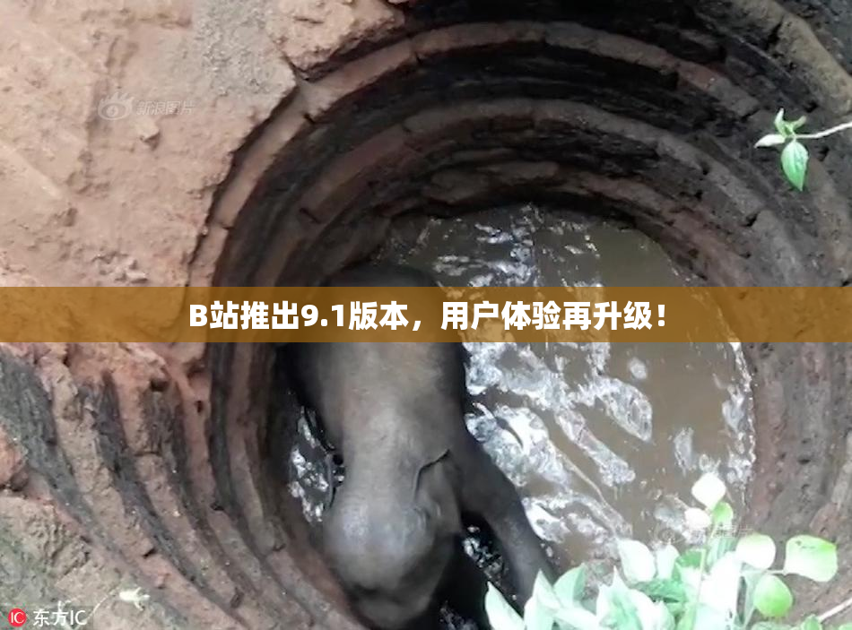 B站推出9.1版本，用户体验再升级！
