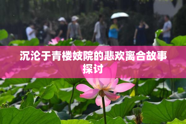 沉沦于青楼妓院的悲欢离合故事探讨
