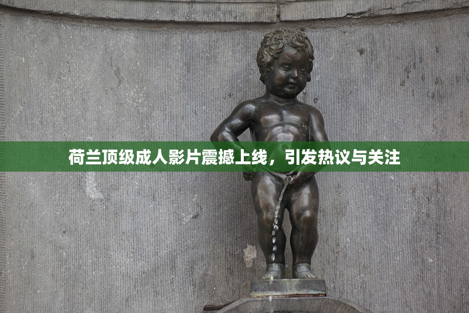 荷兰顶级成人影片震撼上线，引发热议与关注
