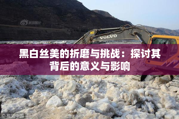 黑白丝美的折磨与挑战：探讨其背后的意义与影响