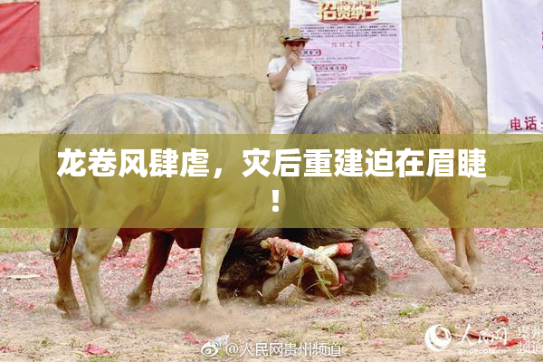 龙卷风肆虐，灾后重建迫在眉睫！