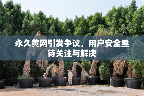 永久黄网引发争议，用户安全亟待关注与解决