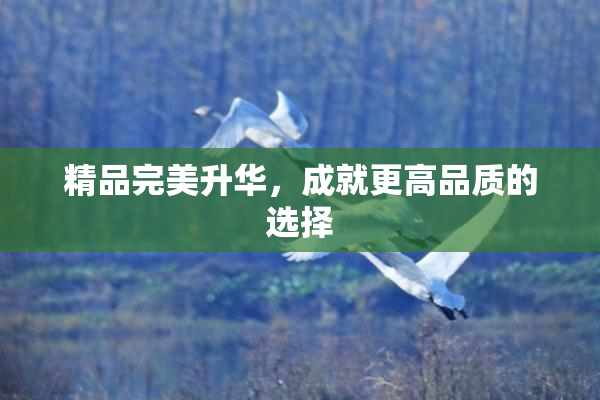 精品完美升华，成就更高品质的选择