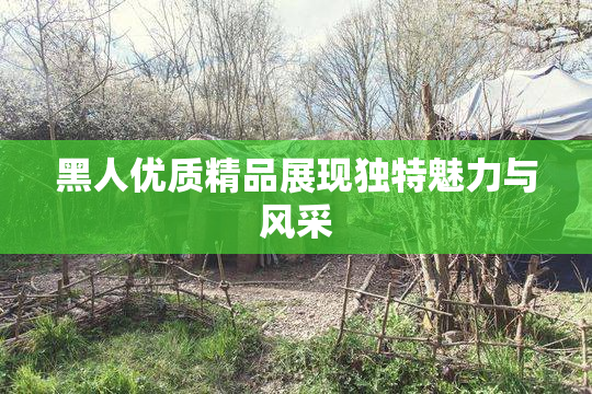 黑人优质精品展现独特魅力与风采