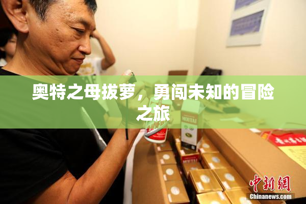 奥特之母拔萝，勇闯未知的冒险之旅