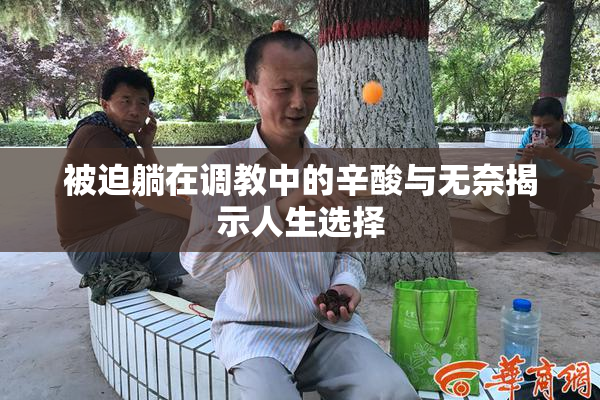 被迫躺在调教中的辛酸与无奈揭示人生选择