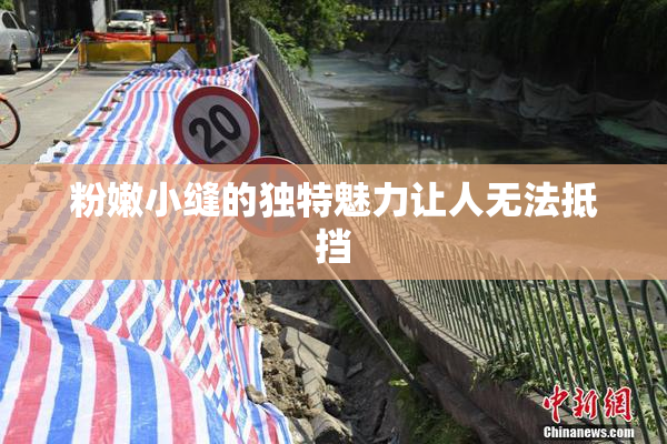 粉嫩小缝的独特魅力让人无法抵挡