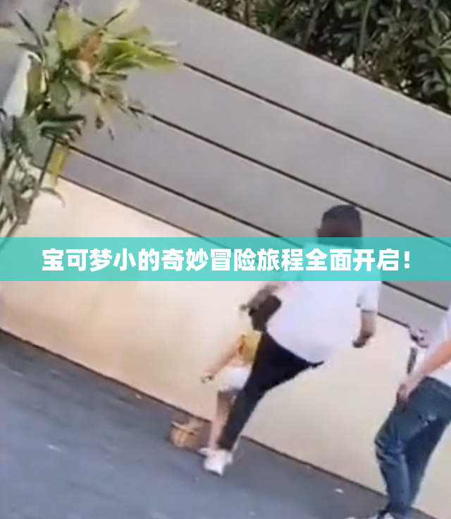 宝可梦小的奇妙冒险旅程全面开启！