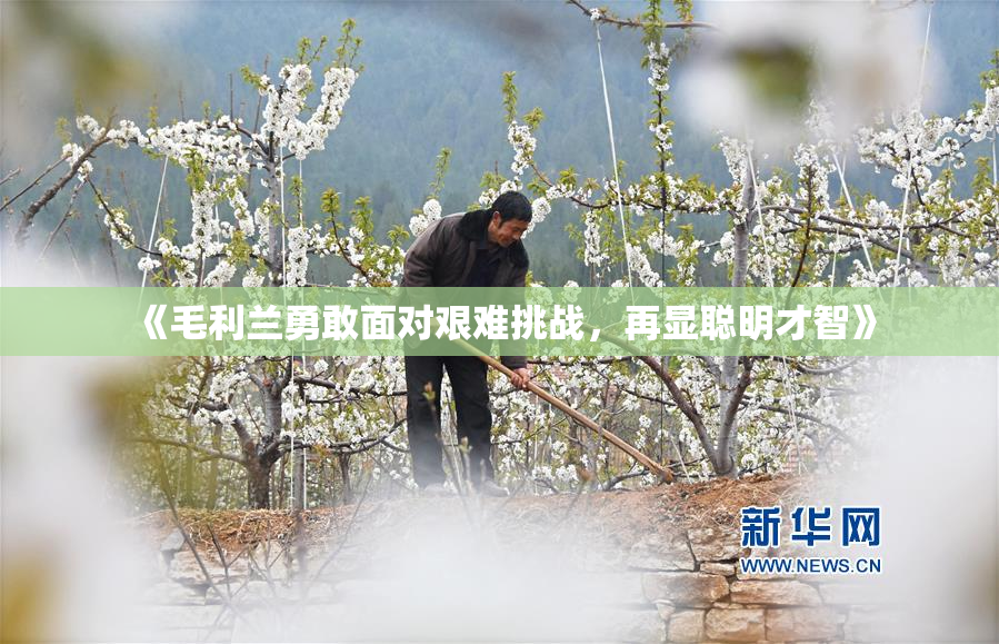 《毛利兰勇敢面对艰难挑战，再显聪明才智》