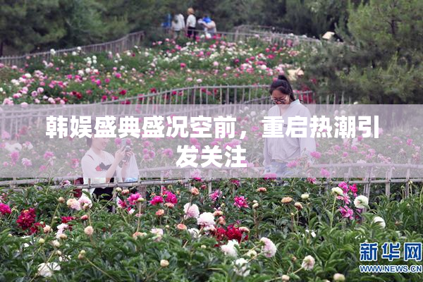 韩娱盛典盛况空前，重启热潮引发关注