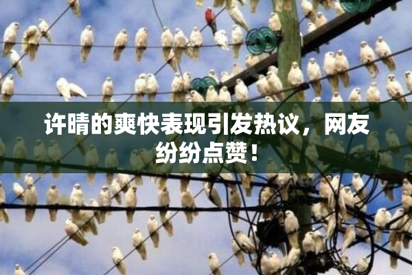 许晴的爽快表现引发热议，网友纷纷点赞！