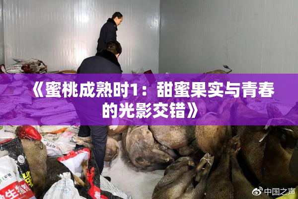 《蜜桃成熟时1：甜蜜果实与青春的光影交错》