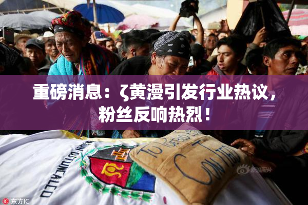 重磅消息：ζ黄漫引发行业热议，粉丝反响热烈！