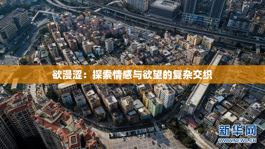 欲漫涩：探索情感与欲望的复杂交织