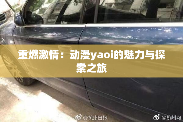 重燃激情：动漫yaoi的魅力与探索之旅