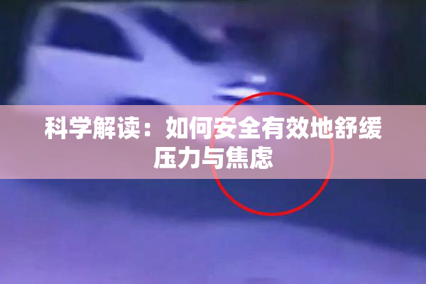 科学解读：如何安全有效地舒缓压力与焦虑