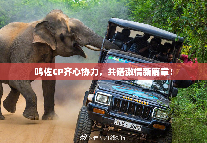 鸣佐CP齐心协力，共谱激情新篇章！