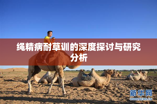 绳精病耐草训的深度探讨与研究分析