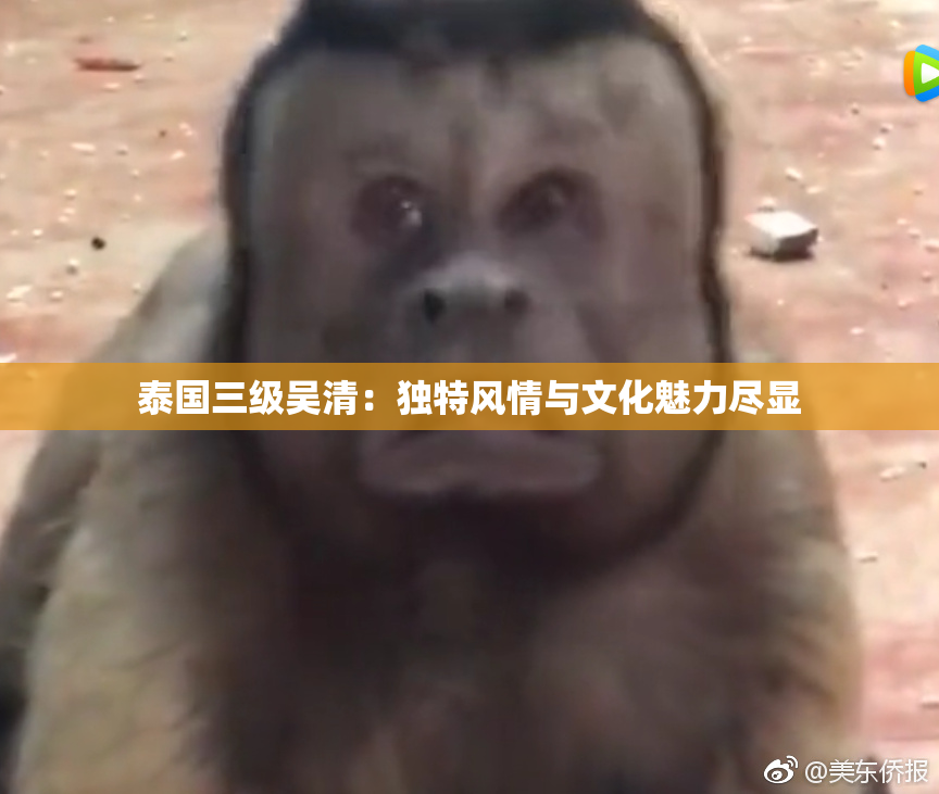 泰国三级吴清：独特风情与文化魅力尽显