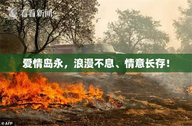 爱情岛永，浪漫不息、情意长存！