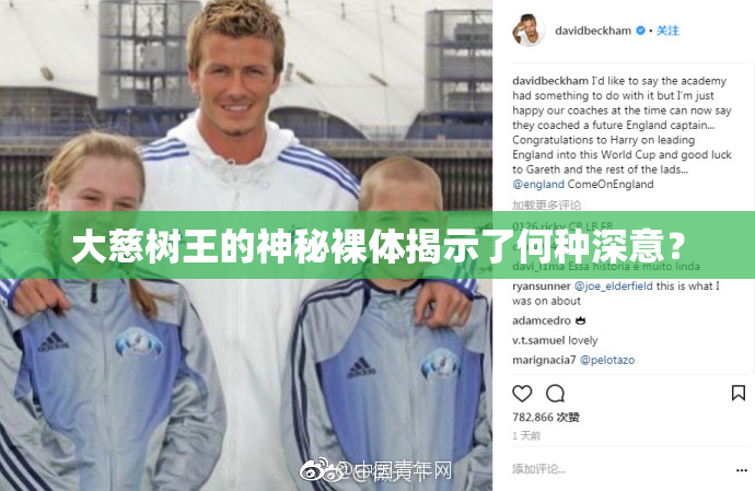 大慈树王的神秘裸体揭示了何种深意？