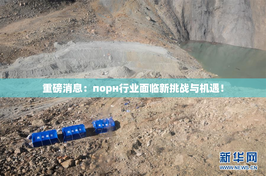 重磅消息：порн行业面临新挑战与机遇！