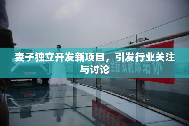 妻子独立开发新项目，引发行业关注与讨论