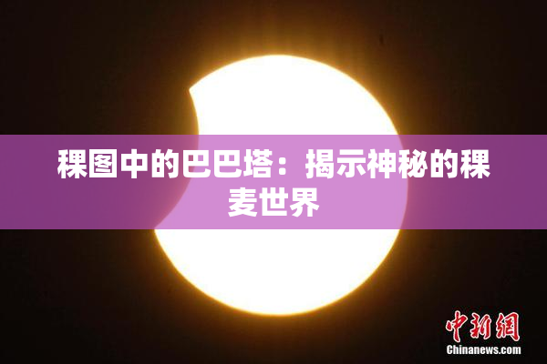 稞图中的巴巴塔：揭示神秘的稞麦世界