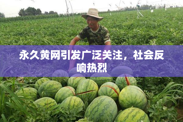 永久黄网引发广泛关注，社会反响热烈
