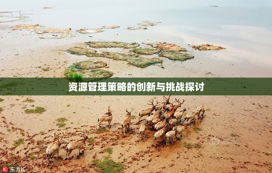 资源管理策略的创新与挑战探讨