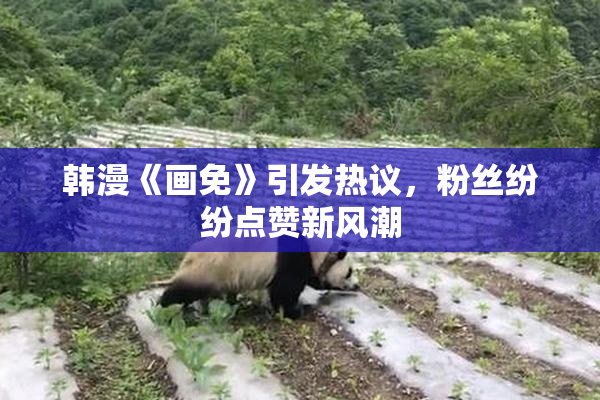 韩漫《画免》引发热议，粉丝纷纷点赞新风潮