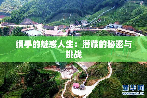 纲手的魅惑人生：潜藏的秘密与挑战