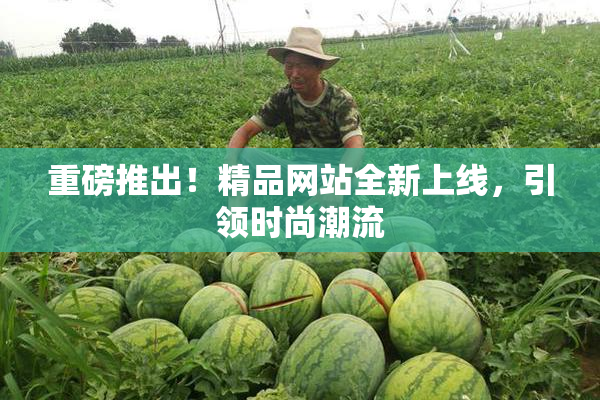 重磅推出！精品网站全新上线，引领时尚潮流
