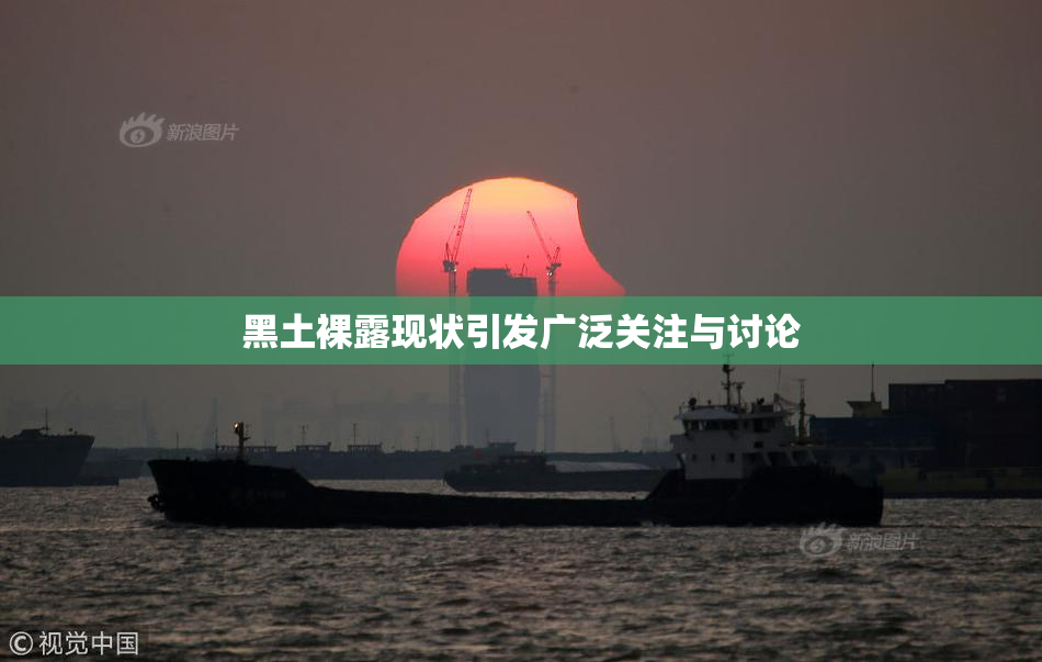黑土裸露现状引发广泛关注与讨论