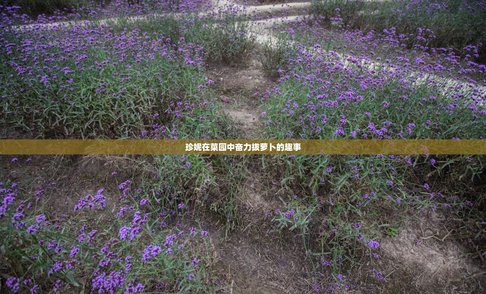 珍妮在菜园中奋力拔萝卜的趣事