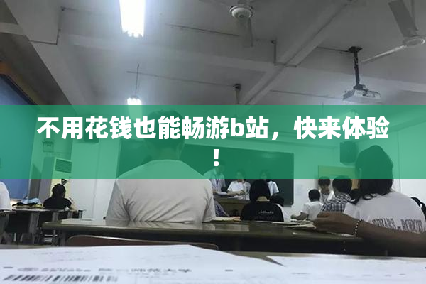 不用花钱也能畅游b站，快来体验！