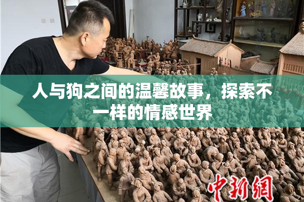 人与狗之间的温馨故事，探索不一样的情感世界