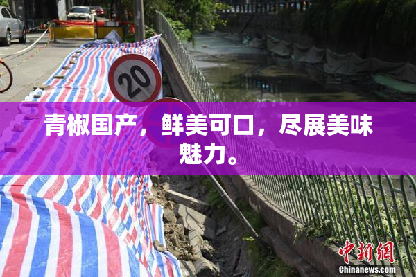青椒国产，鲜美可口，尽展美味魅力。