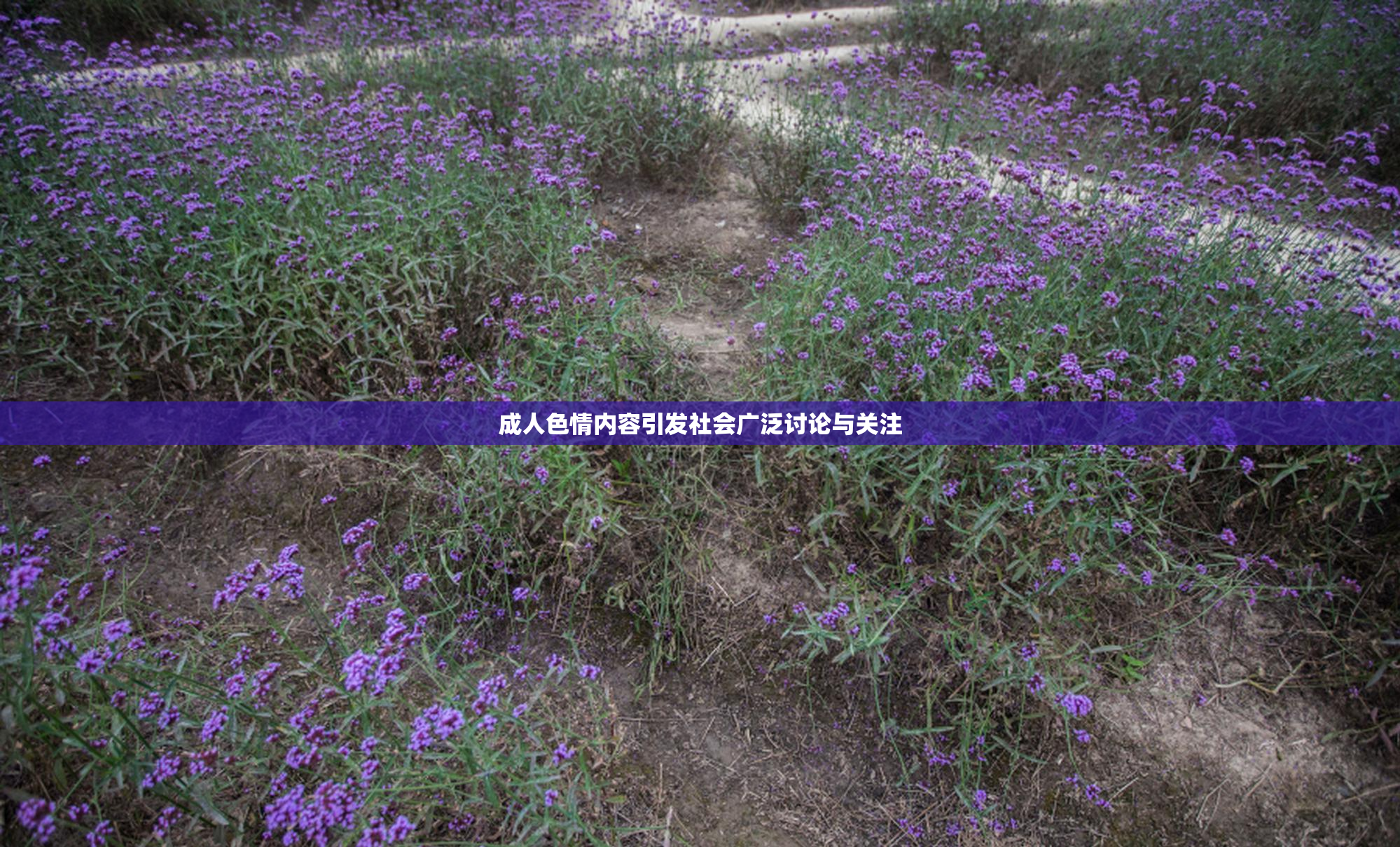 成人色情内容引发社会广泛讨论与关注