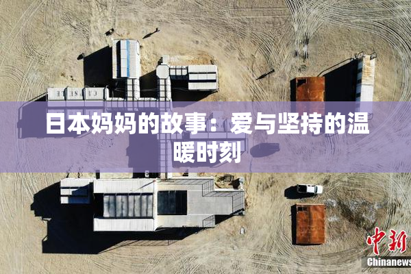 日本妈妈的故事：爱与坚持的温暖时刻