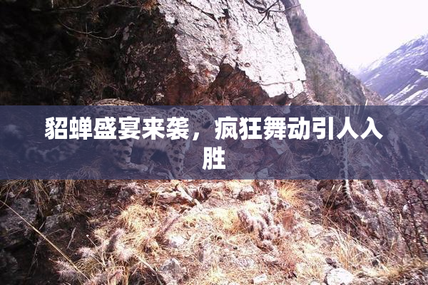 貂蝉盛宴来袭，疯狂舞动引人入胜