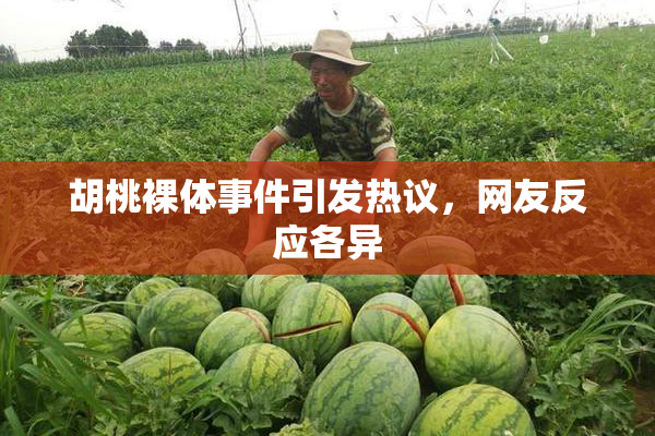 胡桃裸体事件引发热议，网友反应各异
